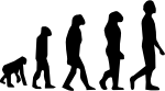 Evolution.png