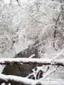 2007-02-26@14-51-23 Snowy stream.jpg