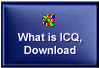 [What is ICQ]