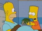 Turtles-Simpsons-16x16-Electroshock.jpg